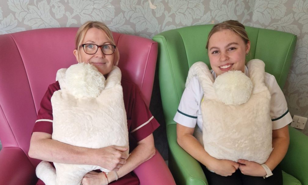 Hug companions, Carleton Clinic image